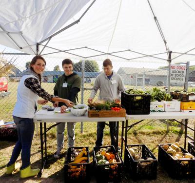 Urban Farm Stand