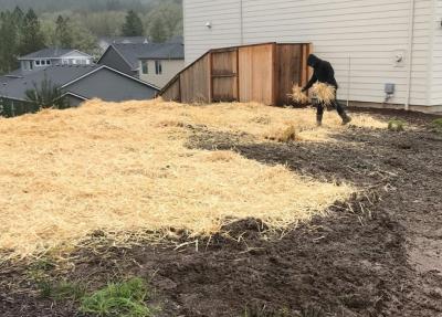 Person spreading mulch by hand on a construction site