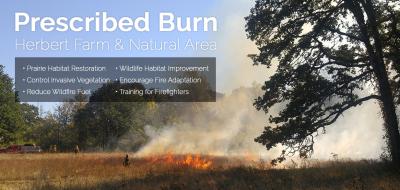 Prescribed burn graphic showing prairie with a controlled fire burning through grass, with firefighters nearby tending the fire.