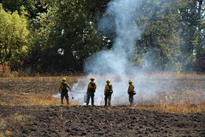 Four firefighters in yellow outfits standing in a smoldering smoky burned field.