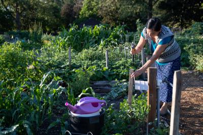 Woman in blue dress gardening