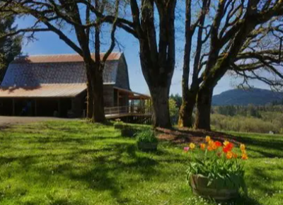 Lumos Winery Barn and trees in the foreground at Lumos Winery in Philomath, Oregon.