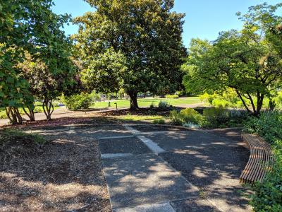 City park on a sunny day