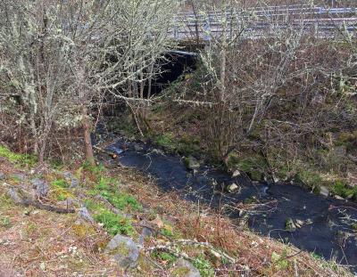 Dunawi Creek