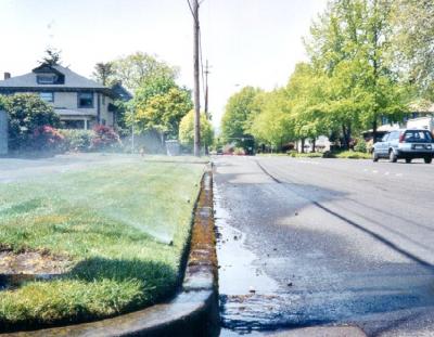 Lawn irrigation spilling into the street