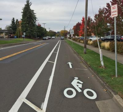 Buffered bike lane with white painted markings on asphalt.