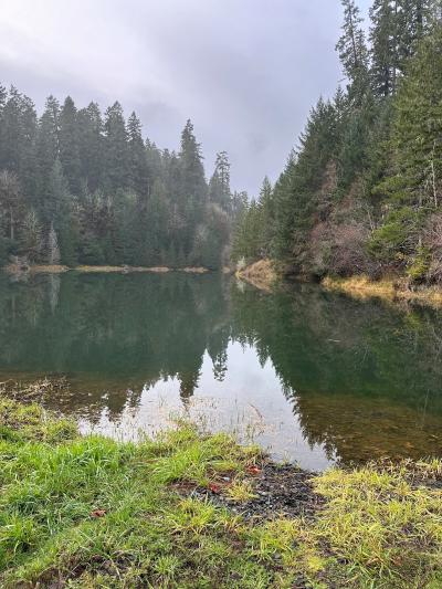 A picture of a pond in Rock Creek watershed, part of Corvallis Forest