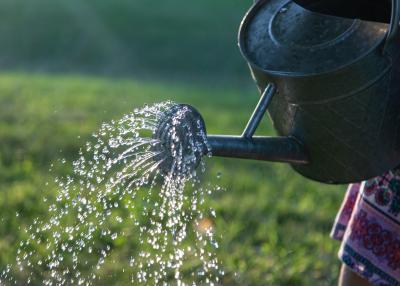 Image of watering can pouring water outside