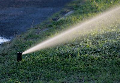 Sprinkler spraying grass