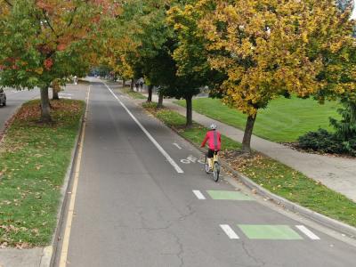 Bicycle traveling in bike lane