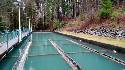 Blue water in an outdoor water treatment plant