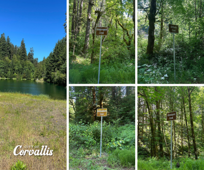 Photo collage showing four newly installed signs with indigenous Kalapuya names for creeks in the Rock Creek Watershed
