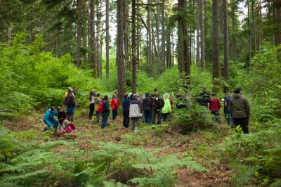 A group of visitors on a guided tour in the Corvallis Forest. 