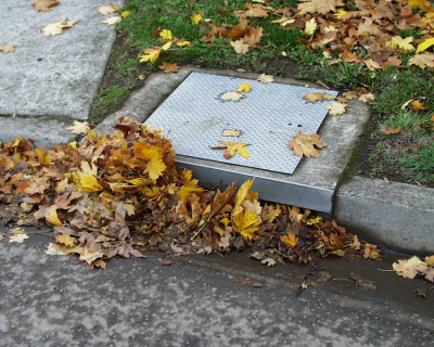 Fall leave clogging up a catch basin