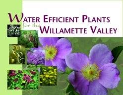 Water efficient plants willamette valley