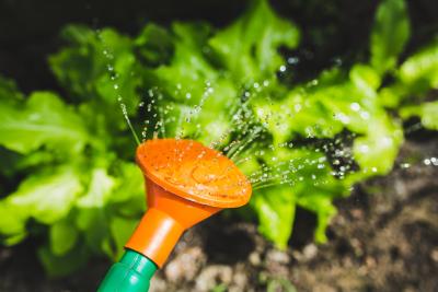 Orange hose nozzle watering green plants in a garden