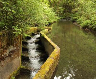 Rock Creek Fish Stairway