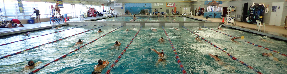 lap swimmers at osborn indoor pools