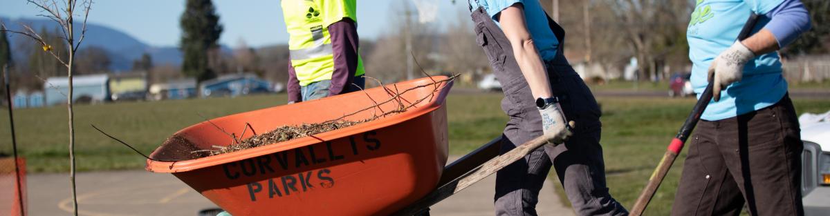 corvallis parks wheelbarrow of mulch and three people working to plant trees 