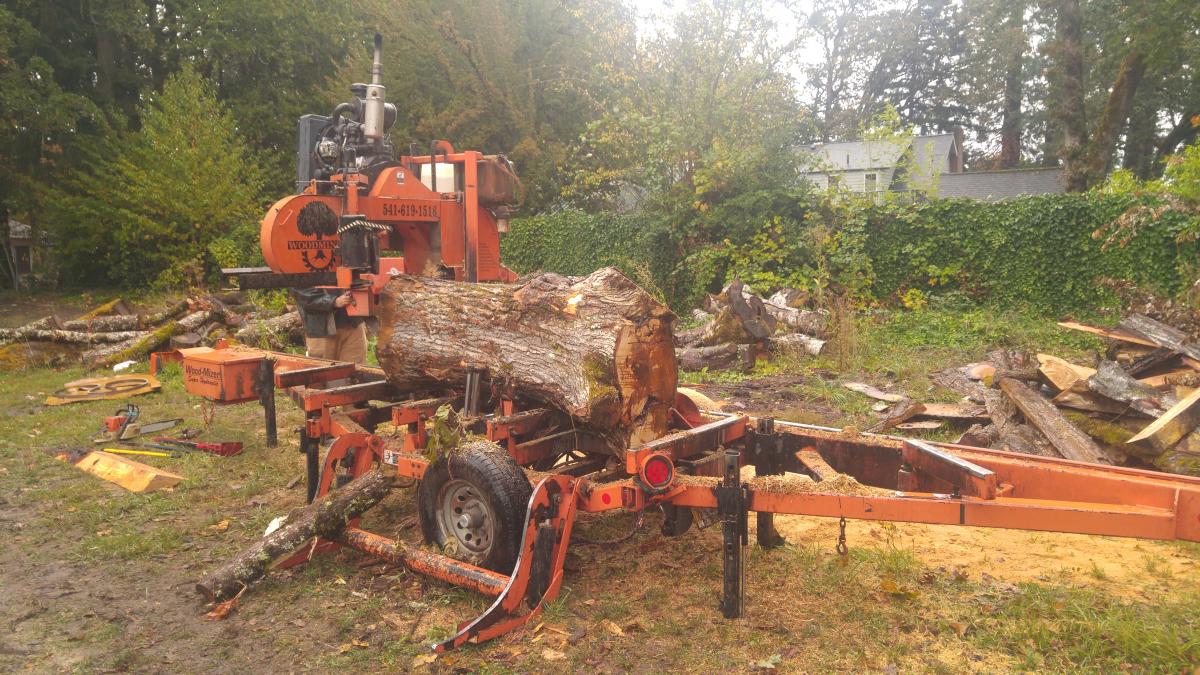 Milling a large log with a bandsaw mill