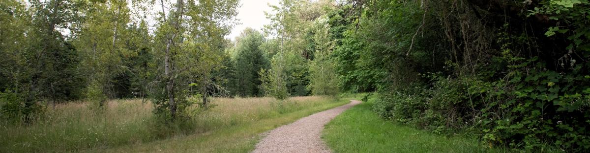 Kendall park