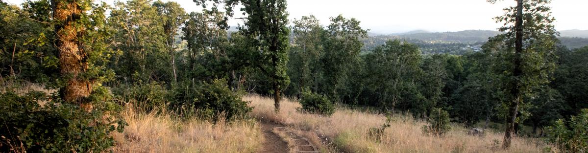 hiking trail
