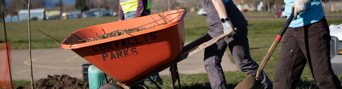 people with shovels, one pushing a "Corvallis Parks" wheelbarrow