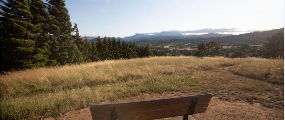 bald hill bench