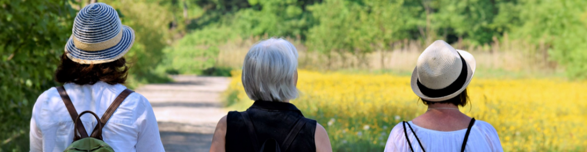 three women hiking in a sunny forest