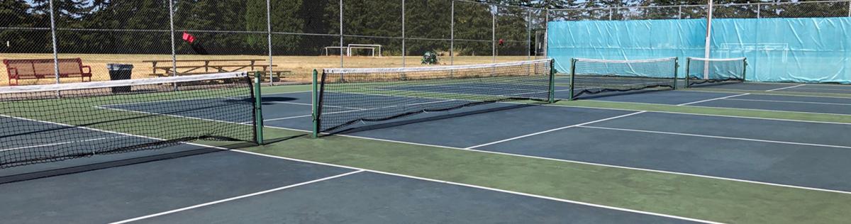 Ringer Pickleball Court
