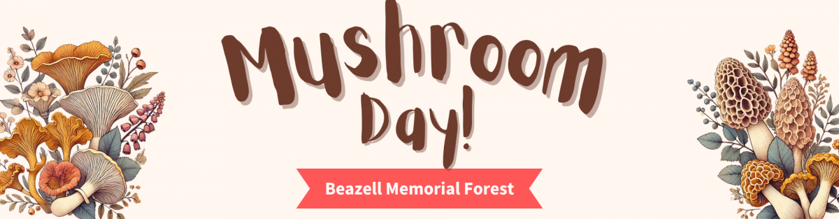 Mushroom day banner 2025