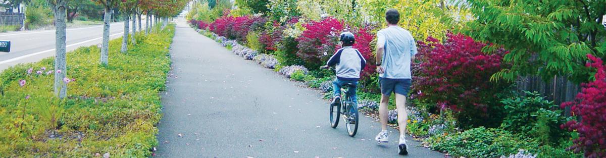 Small Tree Arboretum