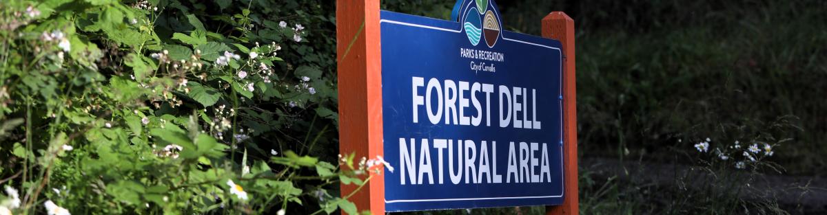 forest dell natural area