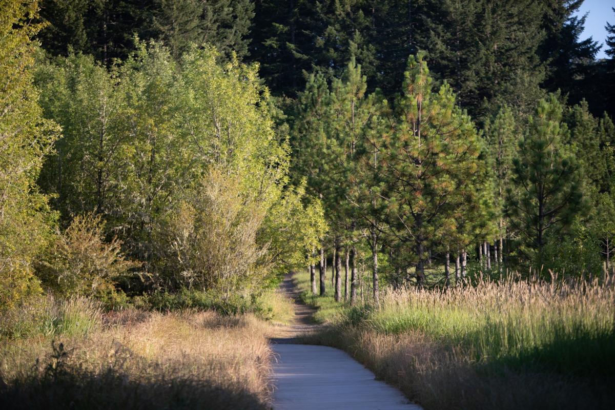 MLK Trail