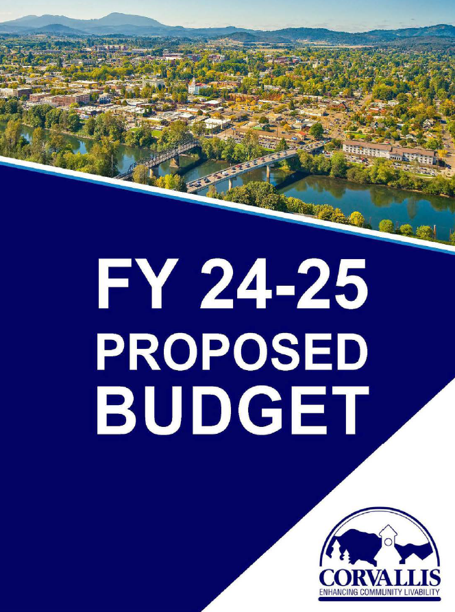 budget 2025 24 images