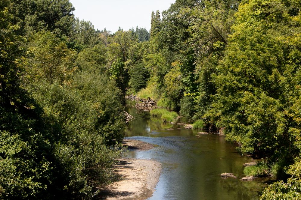 Avery Park and Natural Area | Corvallis Oregon