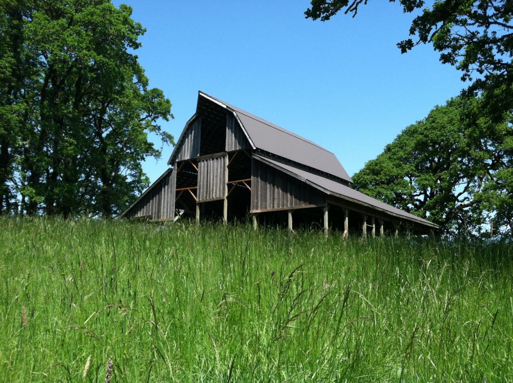 Bald Hill Natural Area Corvallis Oregon