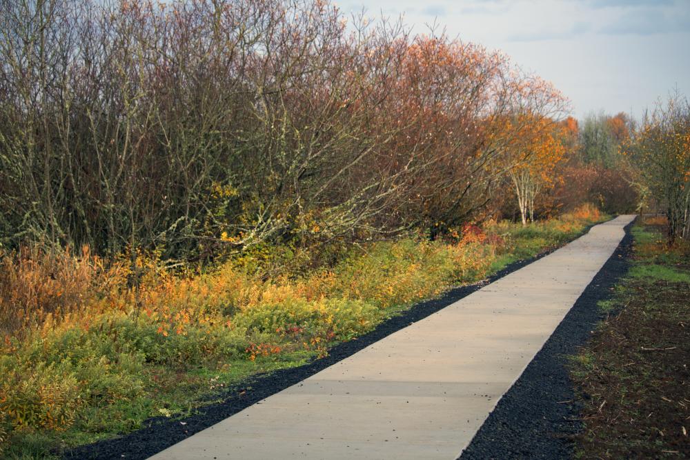 Marys River Natural Area Corvallis Oregon