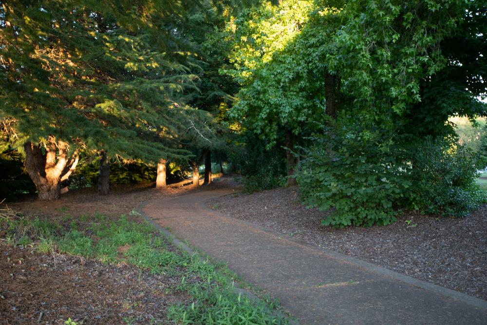 Bruce Starker Arts Park &amp; Natural Area | Corvallis Oregon