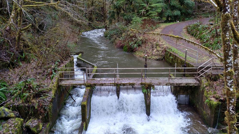 Corvallis Watershed Tour Set For May 23 Corvallis Oregon