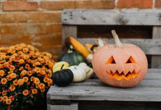Halloween in Corvallis Orange jack-o-lantern sitting on a wooden park bench next to some gourds.