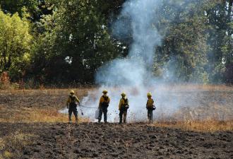 Four firefighters in yellow outfits standing in a smoldering smoky burned field.