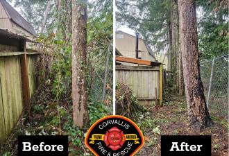 Two side by side photos of a house next to trees and bushes, showing how fire risk is reduced by removing brush and branches.