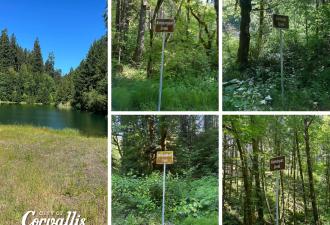 Photo collage showing four newly installed signs with indigenous Kalapuya names for creeks in the Rock Creek Watershed