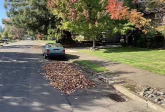 Leaf piles on the street