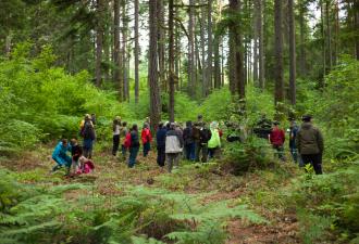 A group of visitors on a guided tour in the Corvallis Forest. 
