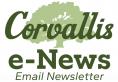 Email Newsletter