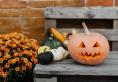 Orange jack-o-lantern sitting on a wooden park bench next to some gourds.