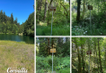 Photo collage showing four newly installed signs with indigenous Kalapuya names for creeks in the Rock Creek Watershed