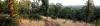 hiking trail